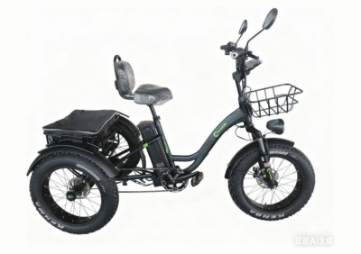 E-Tricycle Cruzzer Turbo Pro